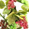 Fruitful Grapes Jade Plant5