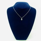 Paua Shell Tortoise of Longevity Pendant (Rhodium plated chain)1