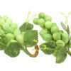 Two Bunches Of Grapes2