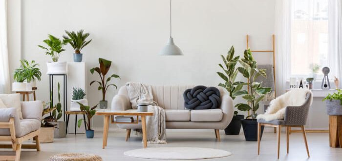 feng shui basic