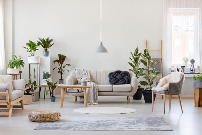 feng shui basic
