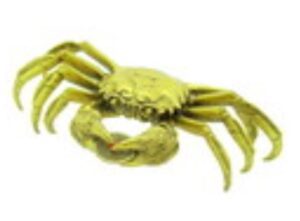 Brass Crab Biting Auspicious Coin