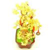 Citrine Crystal With 9 Coins Wealth Inviting Money Tree2