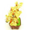 Citrine Crystal With 9 Coins Wealth Inviting Money Tree4
