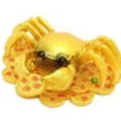 Feng Shui Crab with Coins