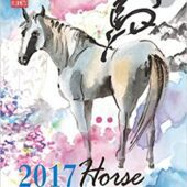 Fortune and Feng Shui Forecast 2017 for Horse