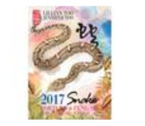 Fortune and Feng Shui Forecast 2017 for Snake