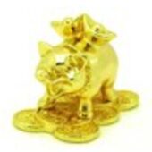 Golden Pig Carrying Gold Ingots on Coins