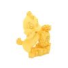 Golden Rooster Chick with Pineapple2