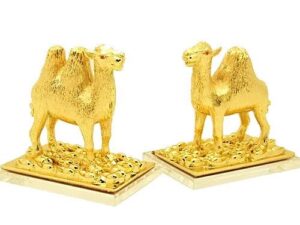 Pair of Golden Camel Cash Flow Protection