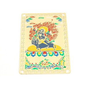 Tibetan Deity Palden Lhamo Protection Card Amulet1