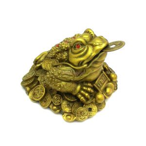 Brass Feng Shui Money Frog on Treasure1