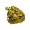 Brass Feng Shui Money Frog on Treasure3