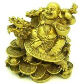 Brass Maitreya Laughing Buddha on Dragon Tortoise