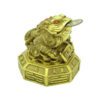Brass Money Frog on Pa Kua3