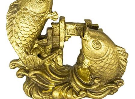 Double Feng Shui Dragon Carps over Dragon Gate