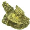 Dragon Tortoise Carrying Child4