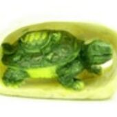 Feng Shui Green Tortoise with Baby