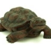 Feng Shui Longevity Tortoise