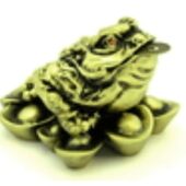 Feng Shui Wealth Enhancing Money Frog