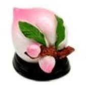 FengShui Longevity Peach of Long Life