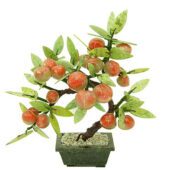 Fruitful Peach Tree Of Immortality1