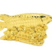 Gold Arowana for Wealth Activation