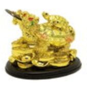 Golden Dragon Tortoise on Treasures Carrying Child