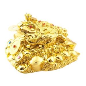 Golden Feng Shui Money Frog on Gold Coins Treasure