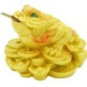 Golden Money Frog with Treasures