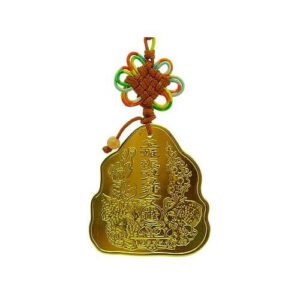 Good Business Feng Shui Amulet Coin1