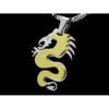 Good Fortune Dragon Pendant with Chain1