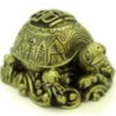 Good Fortune Tortoise