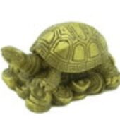 Good Fortune Tortoise on Gold Coins and Ingots