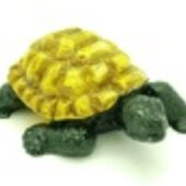 Green Tortoise for Long Life