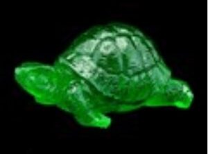 Green Tortoise for Longevity