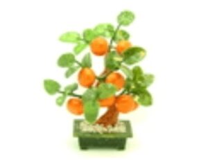 Jade Feng Shui Good Fortune Lime Plant