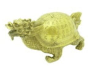 Longevity Dragon Tortoise