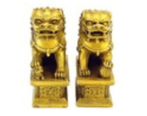 Majestic Brass Fu Dogs for Protection