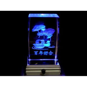 Mandarin Ducks 3D Laser Engraved Glass With Light Base1
