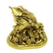 Money Toad to Activate Wealth Luck