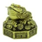 Pakua Good Fortune Money Frog