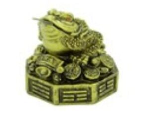 Pakua Good Fortune Money Frog