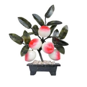 Peach Plant for Longetivity-