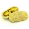 Peanut With Gold Ingots For Growing Prosperity3