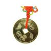 Tai Sui Horoscope Protective Coin4