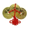 Three Coins Amulet with Mystic Knot4