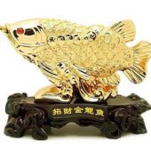 Wealth Attracting Golden Money Arowana Fish