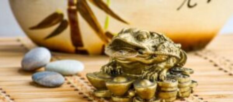 Right Place for Feng Shui Money Frog