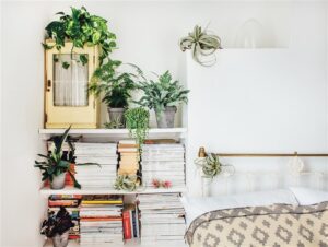 plants-in-bedroom